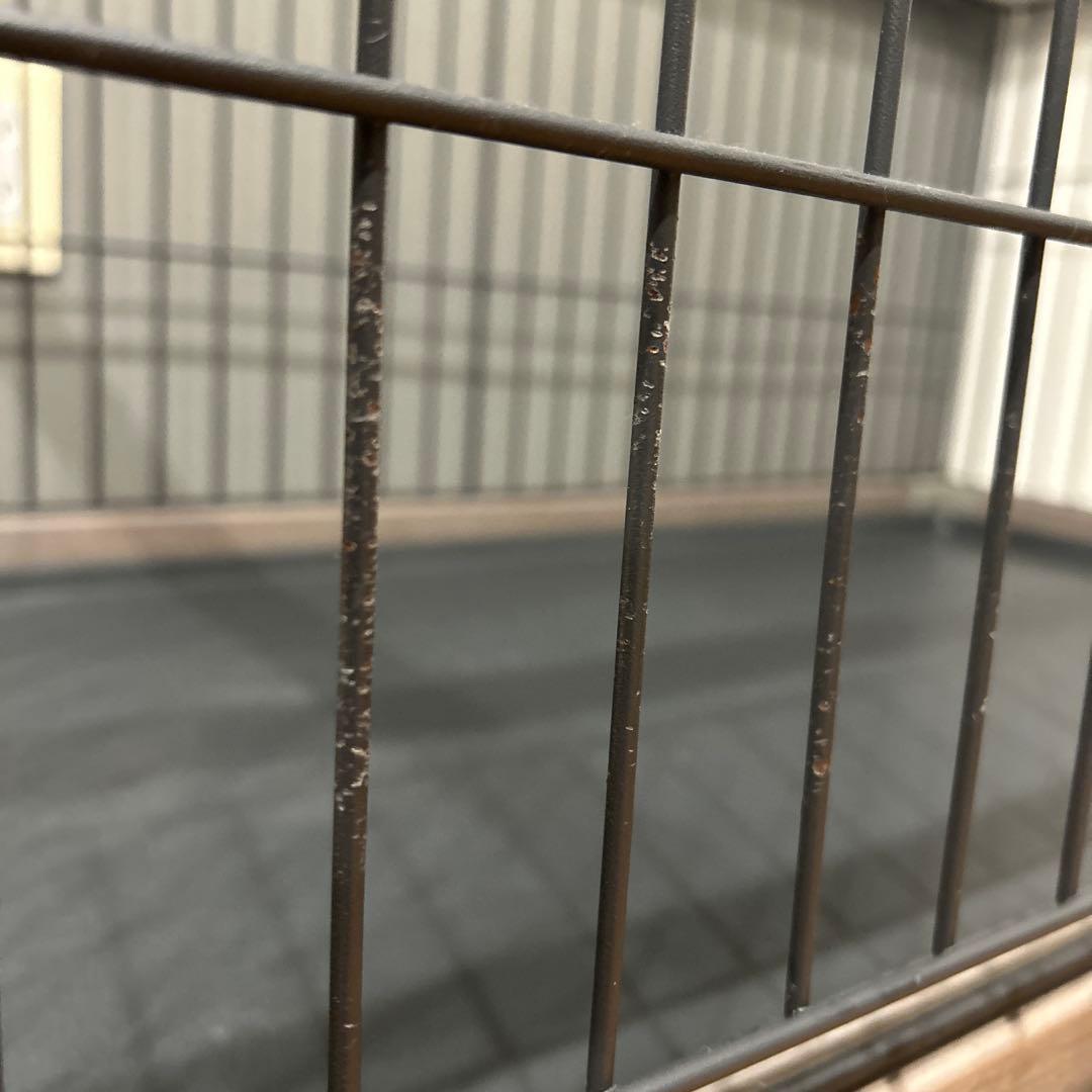 犬　ペット　サークル