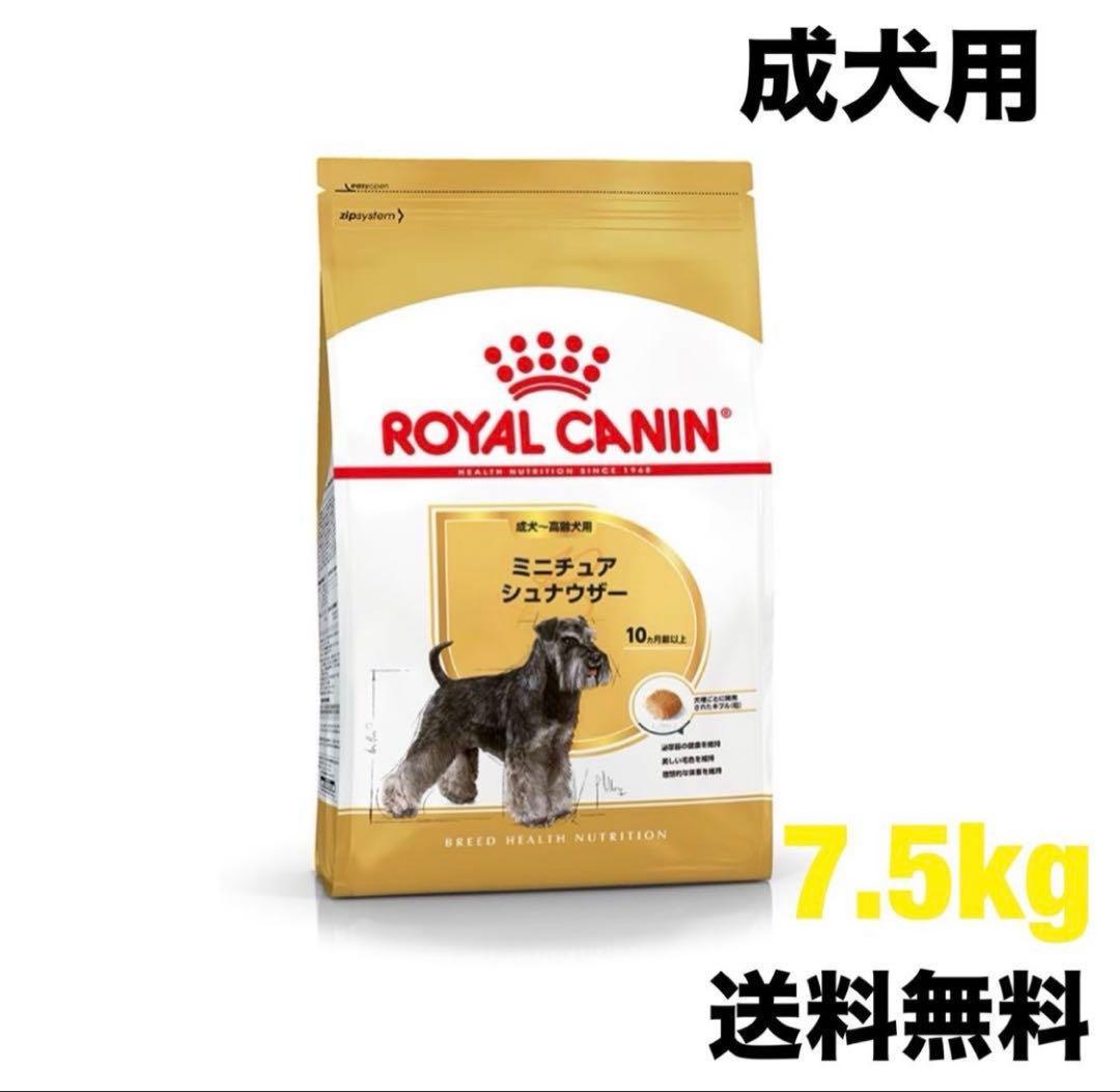  CANIN ミニチュアシュナウザー　7.5kg