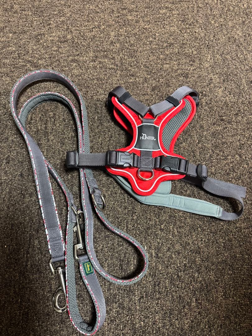 HUNTER ハンター 犬用　ハーネス　リードのセット（RED）