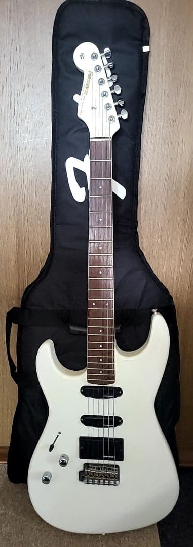 FERNANDES THE FUNCTION CUSTOM BODYエレキギター