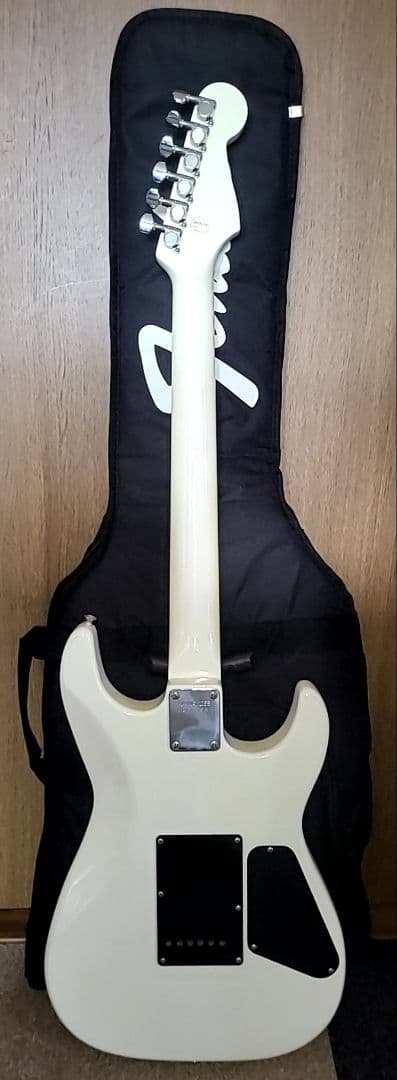 FERNANDES THE FUNCTION CUSTOM BODYエレキギター