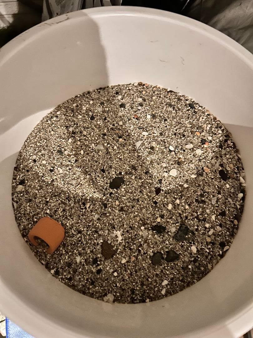 gex45cmガラス水槽セット