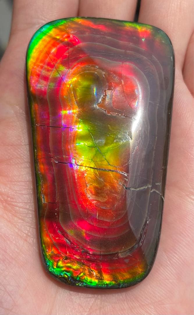 【期間限定セール】アンモライト 天然研磨ルースストーン