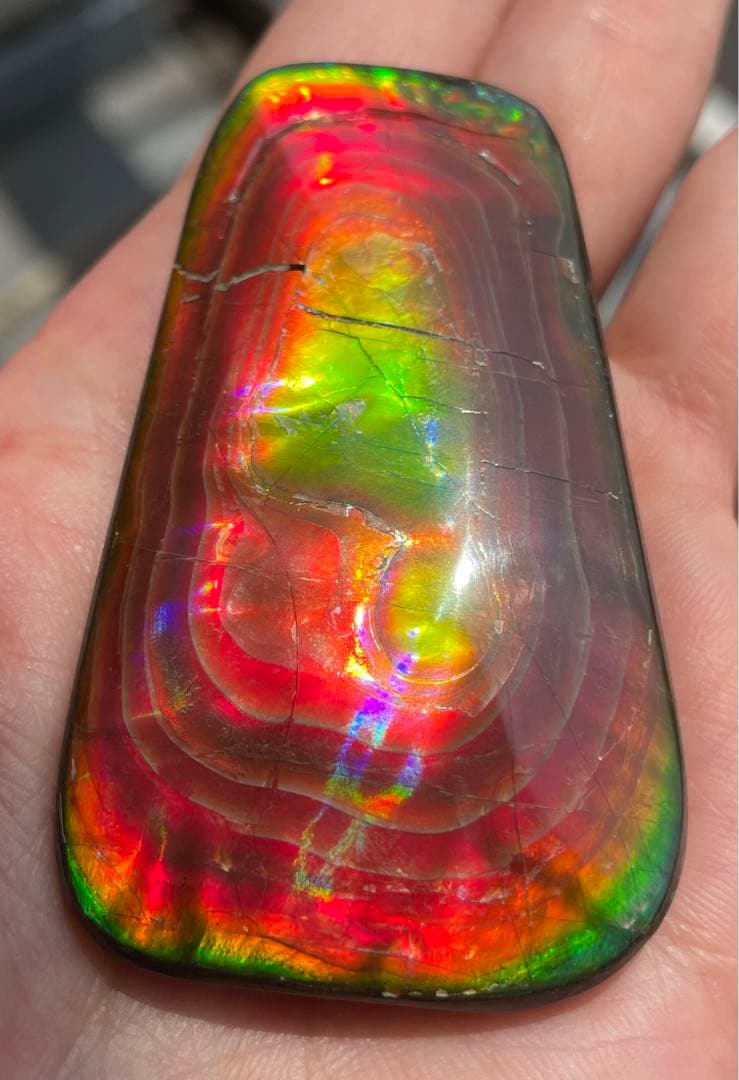 【期間限定セール】アンモライト 天然研磨ルースストーン