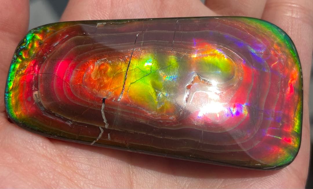 【期間限定セール】アンモライト 天然研磨ルースストーン