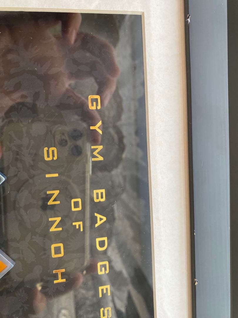 シンオウ ジムバッジ コレクション フレーム付き