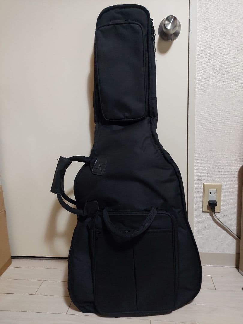 エピフォン Epiphone LesPaul standard pro 虎目