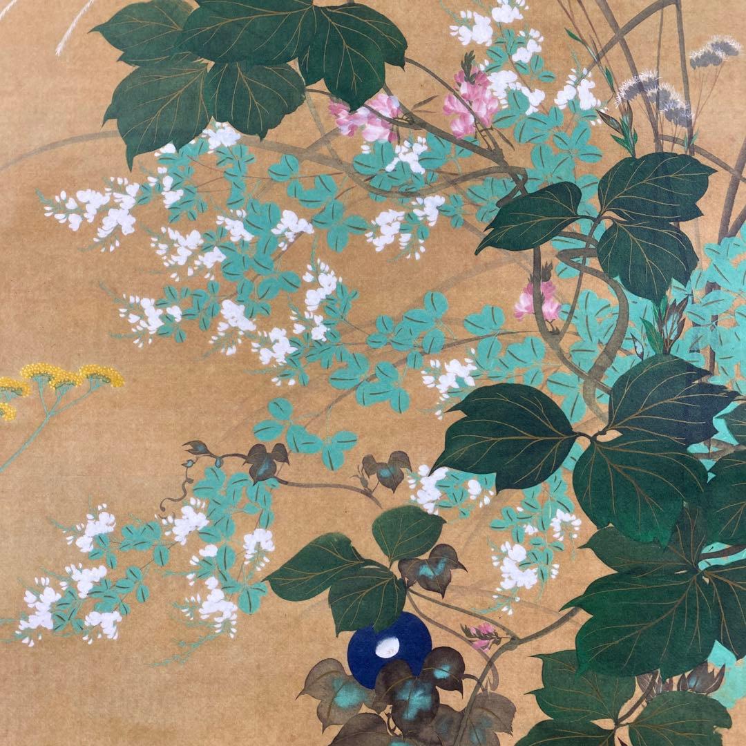 美品 掛け軸 酒井抱一筆「七草図」印刷 解説付き 秋掛け おもてなし