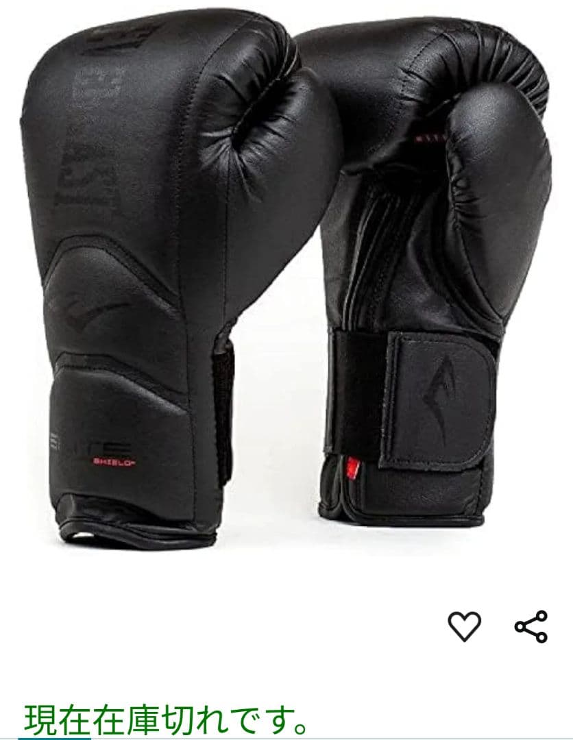 ＥＶＥＲＬＡＳＴ ＰＲＯ　14oz