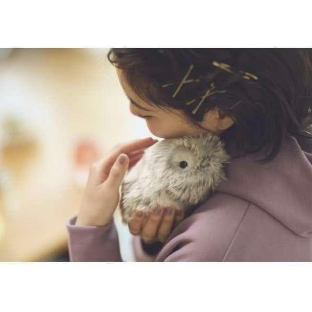 【新品未使用】Moflin　モフリン　AIペットロボット　シルバー　CASIO