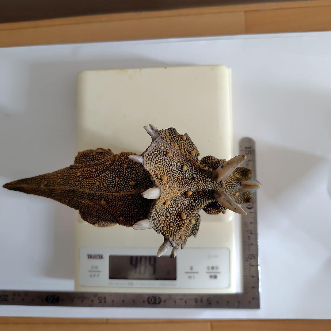 恐竜フィギュア 4体 レトロ 昭和 希少 アンキロサウルス　トリケラトプス