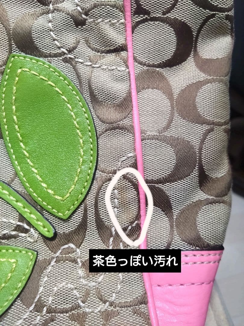 COACH コーチ　バッグ　シグネクチャー　フラワーアップリケ　F14724