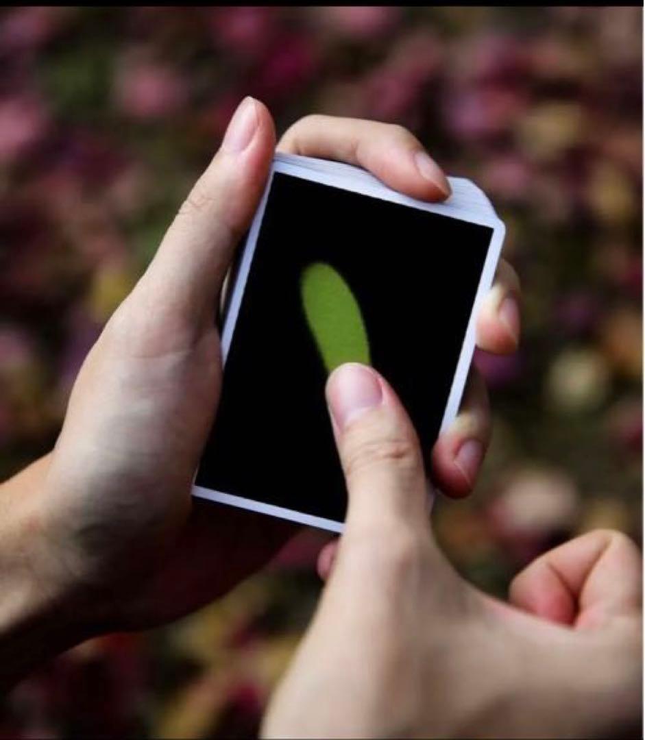 Lotusinhand Thermo Solid 新品1個