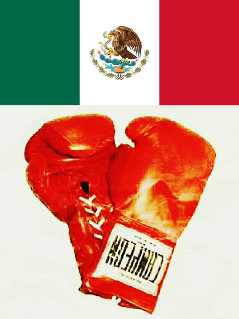 ボクシング CAMPEON