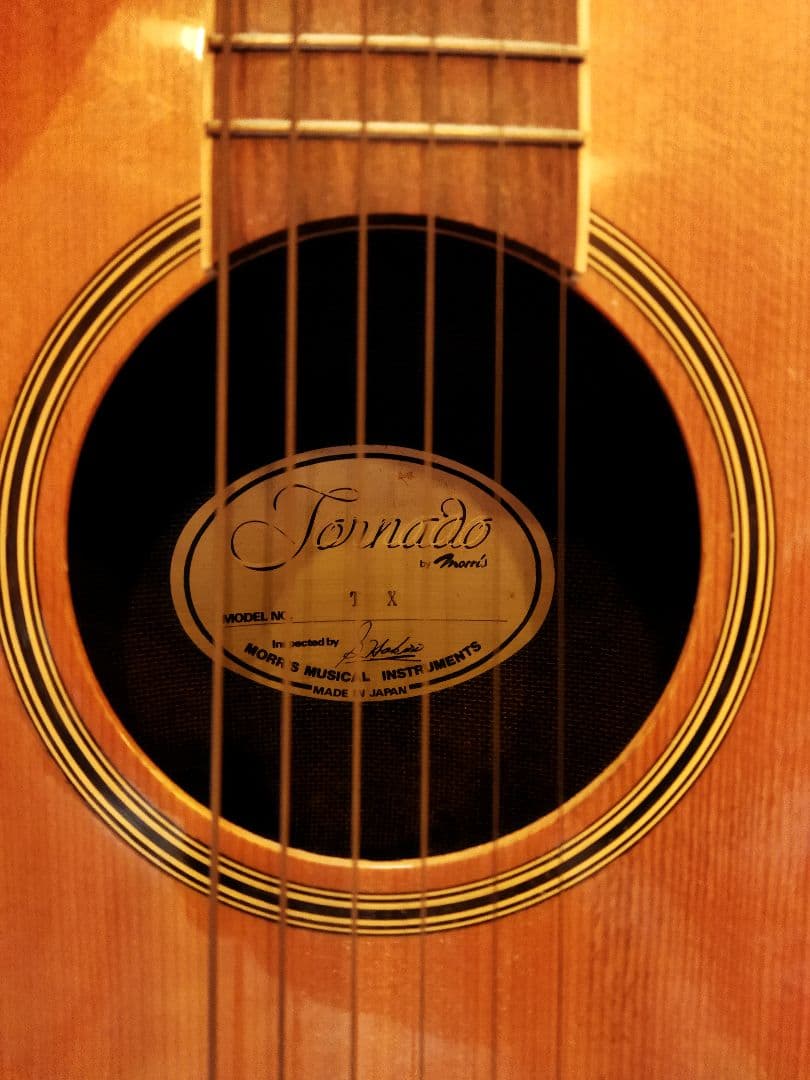 モーリス morris tornado トルネード　TX エレアコ　日本製