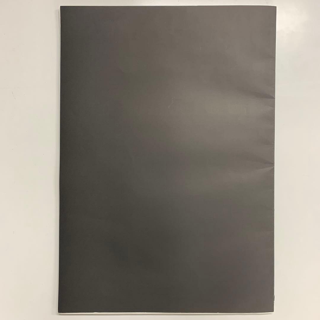 ALASTAIR THAIN SHADOW OF AMANⅡアラステアサイン