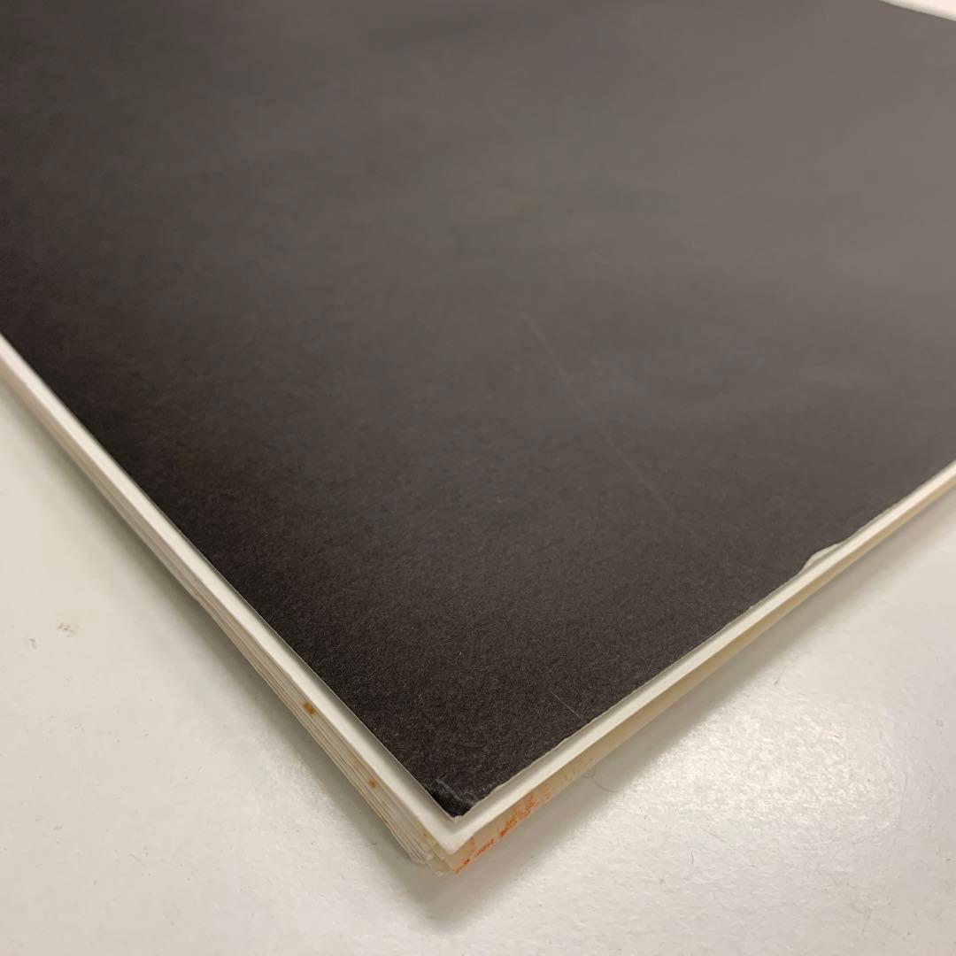 ALASTAIR THAIN SHADOW OF AMANⅡアラステアサイン