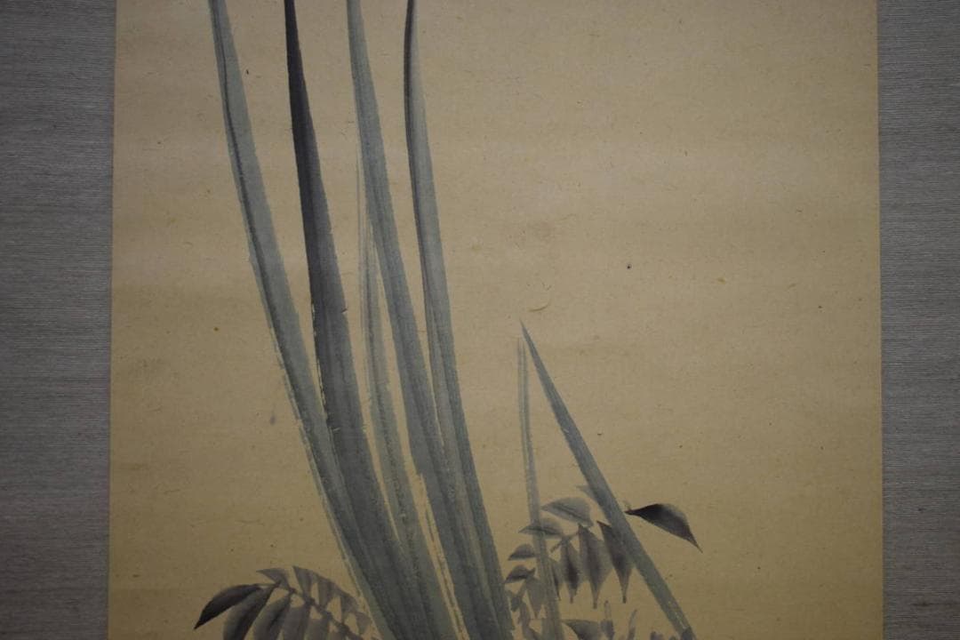 真作/広島県/福山市/羽田桂舟/菖蒲図/桐題箱付/布袋屋掛軸HI-470