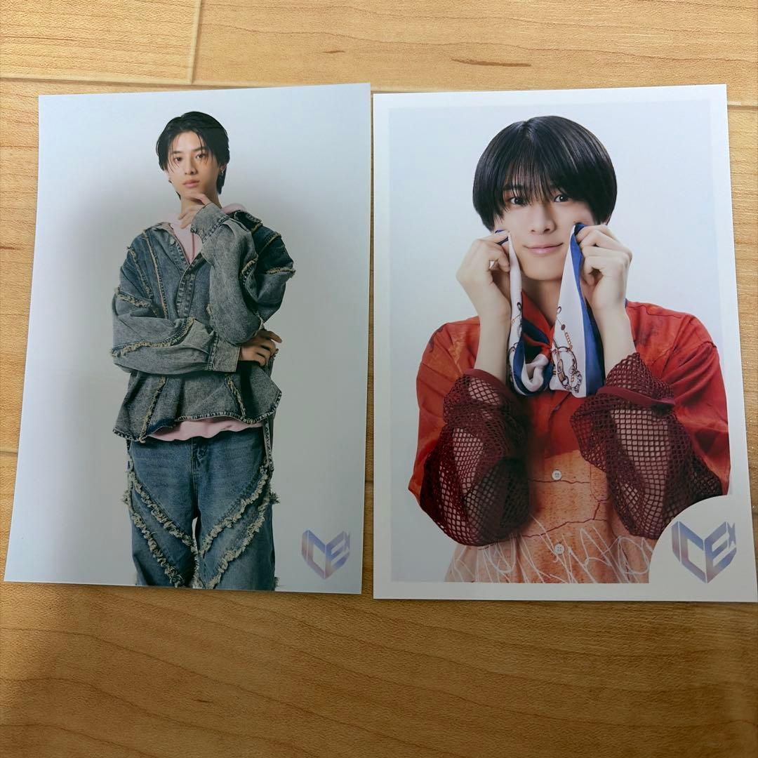 HARUSE AKUNE ぬいぐるみ・アクリルスタンドセット