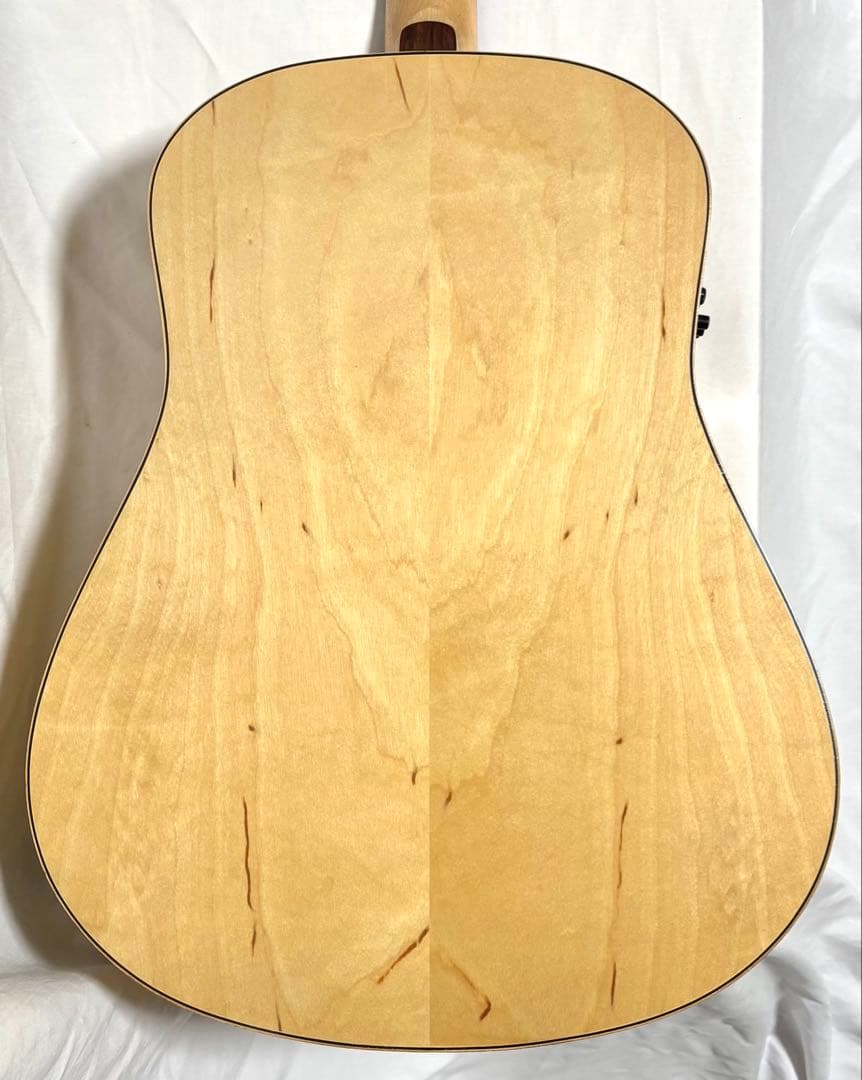 【新品弦張替済】Seagull エレアコ Amber Trail SG T35