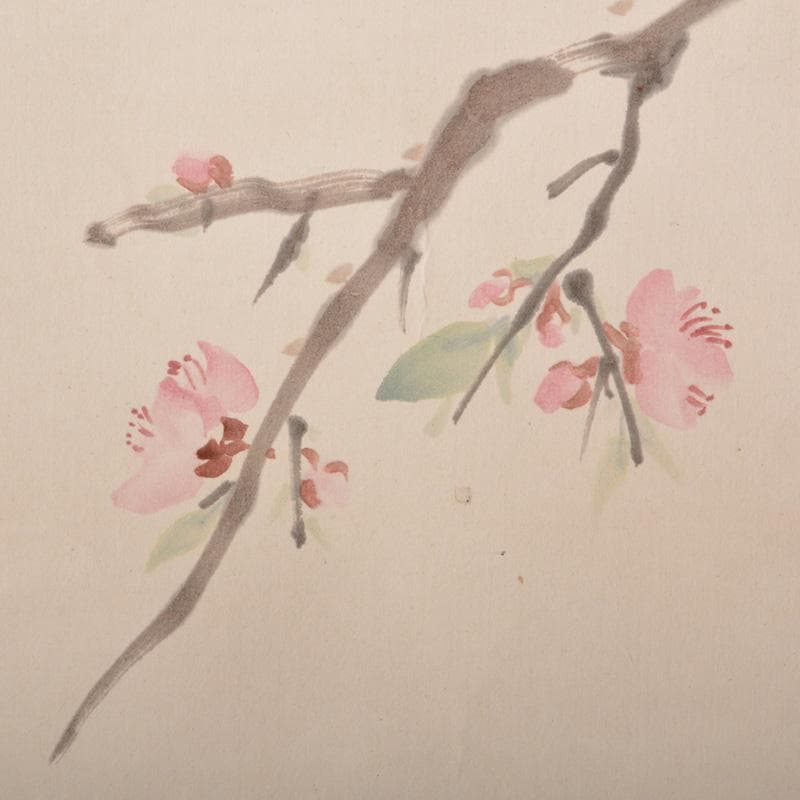 掛軸　水田竹圃作　梅木に鳥図　桐箱付　C　6318A