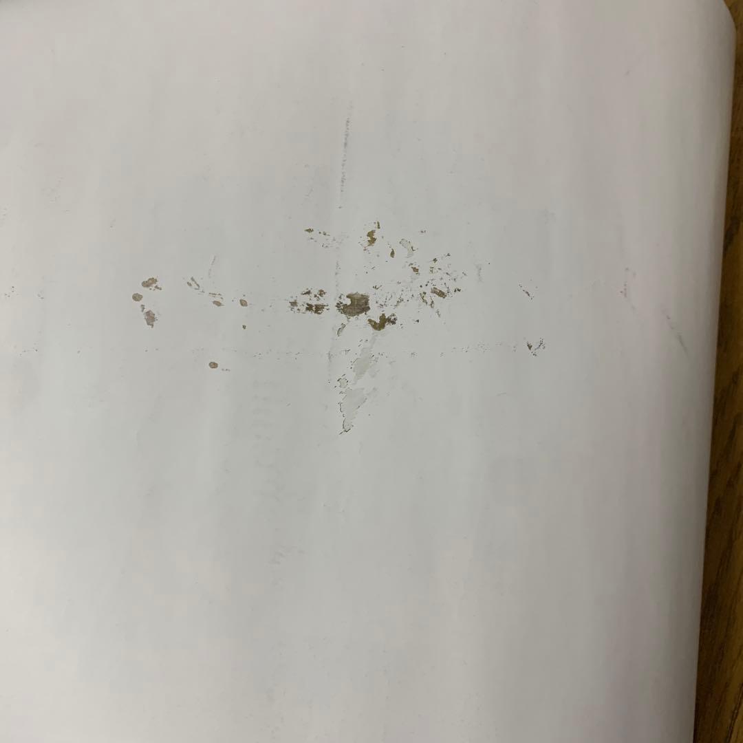 直筆サイン入り 24 girls 2020 =LOVE・≠ME B2 ポスター