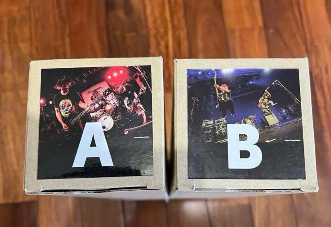 【新品未使用品】激レア ハイスタンダード 写真展限定　B2ポスター2枚セット