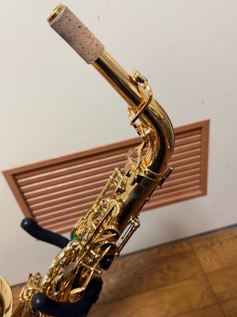 アルトサックスA2000GPシルフィード（シャイニーケース付き）