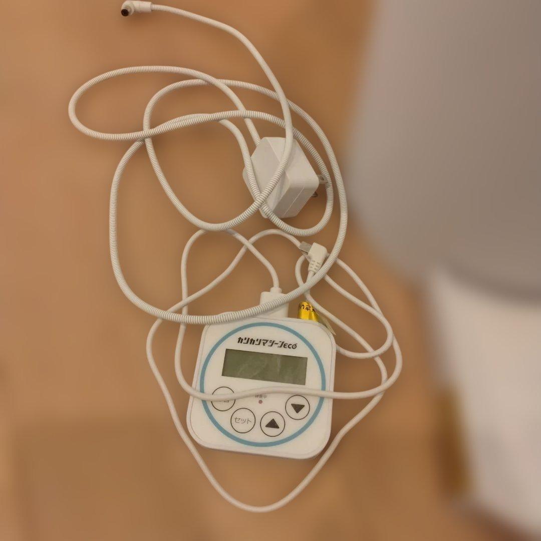 猫　自動給餌器　キャリーケース　トイレ　セット