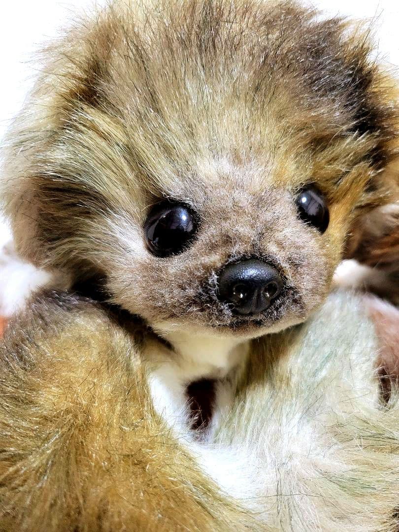 レトロぬいぐるみ　吉徳　犬　ぬいぐるみ　２匹美品！