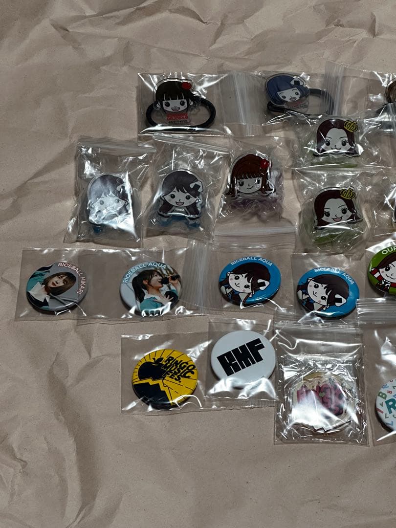 りんご娘　ライスボール　アルプスおとめ　リンゴミュージックフェス　 21個セット