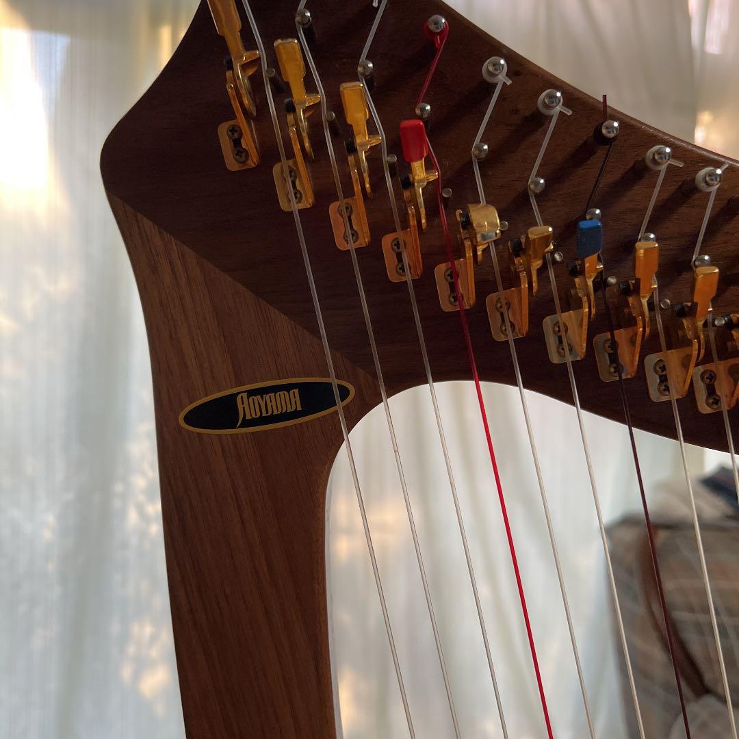 【⠀青山ハープ 】サウルハープ25弦