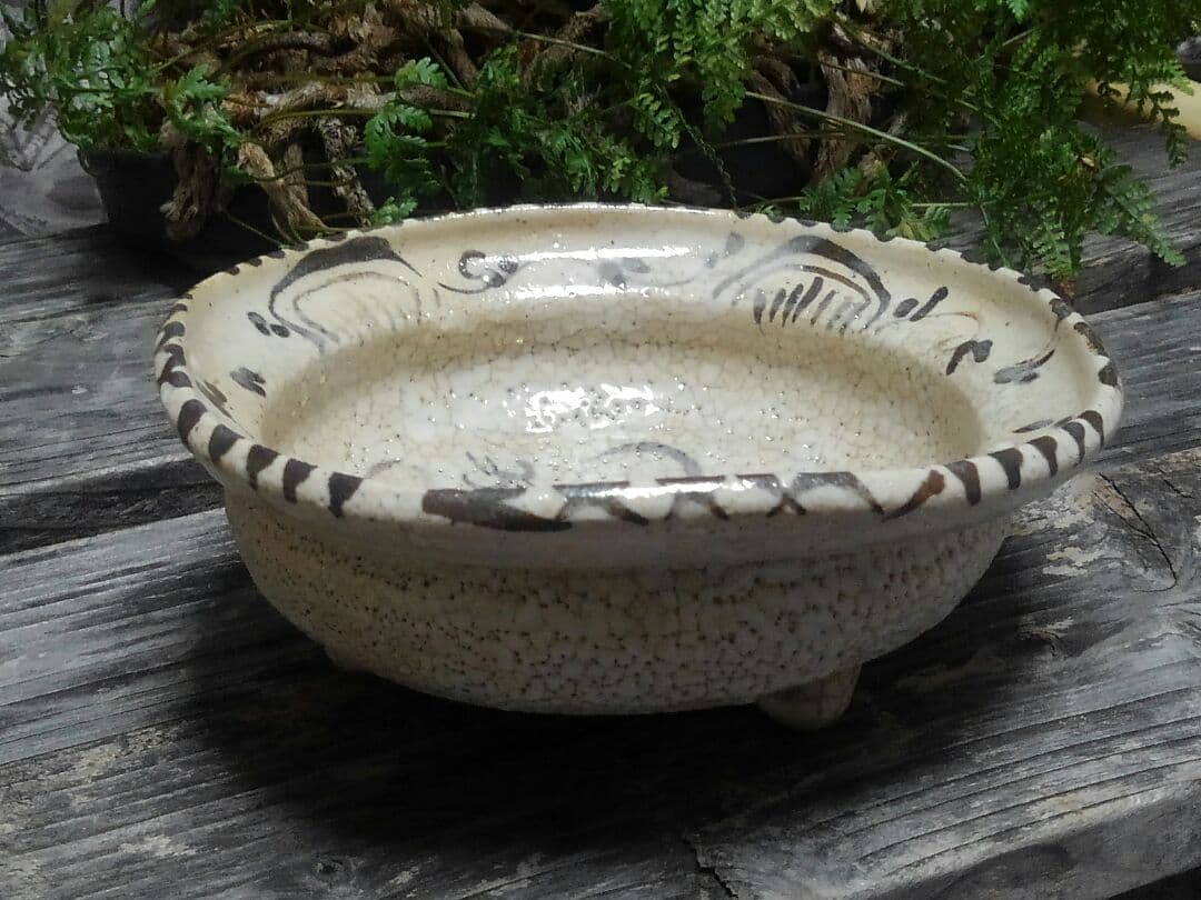 ♥美濃焼　志野　鉢　桐箱付き　志野織部　骨董品