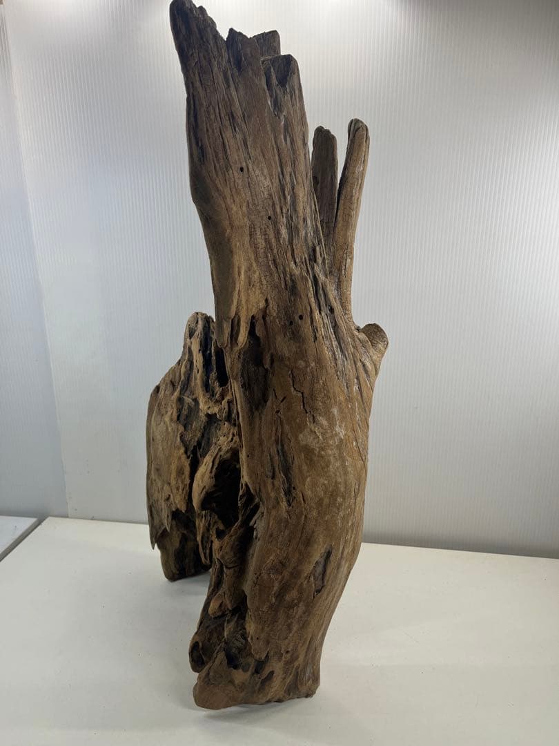 W28特大流木アク抜き済み流木 爬虫類シェルター 登り木 インテリア 生け花
