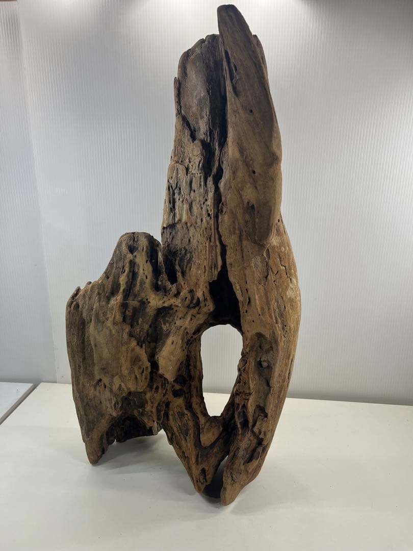 W28特大流木アク抜き済み流木 爬虫類シェルター 登り木 インテリア 生け花