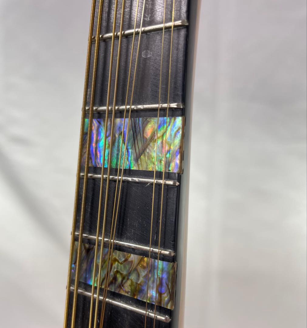 sound ena サウンドエナ M-200 最上位機種マンドリン