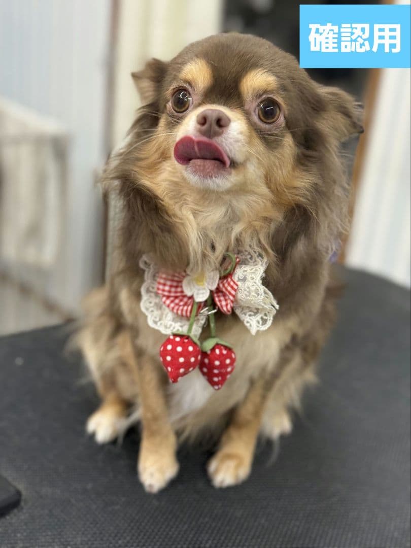 hwara様 ♡ Xmas girls 23´ 10枚 匿名発送