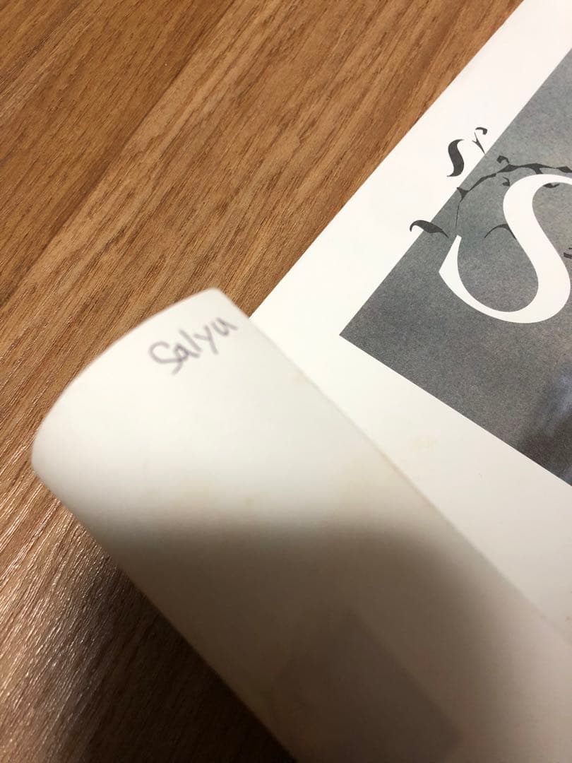 非売品 salyu 3rdシングル「peaty」 販促ポスターB2