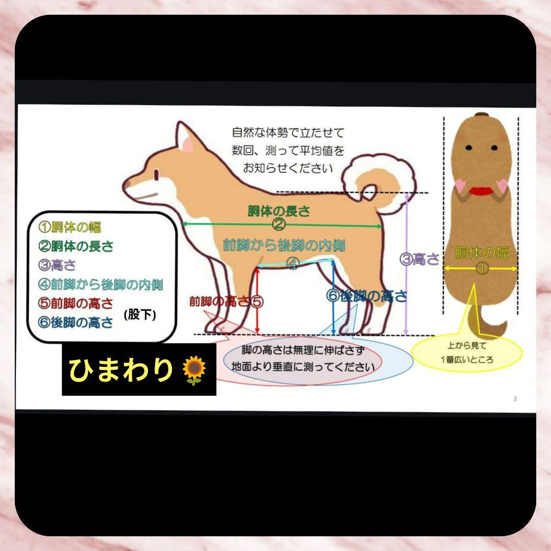 ワンちゃん4輪　リハビリ　食事補助　犬用車椅子　介護用品　犬の歩行器