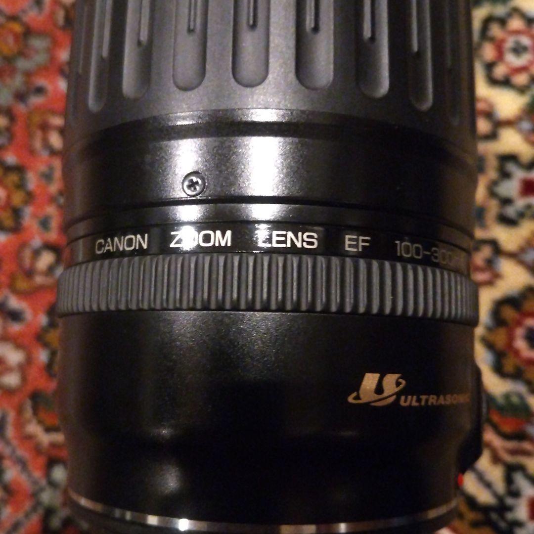 Canon 100-300mm ウルトラソニック ズームレンズ