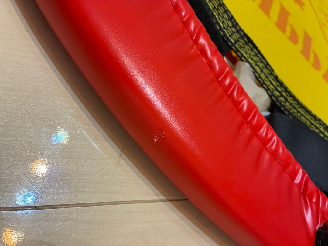 【送料無料】トランポリン DVD付き/ Zippy Jump and Sing