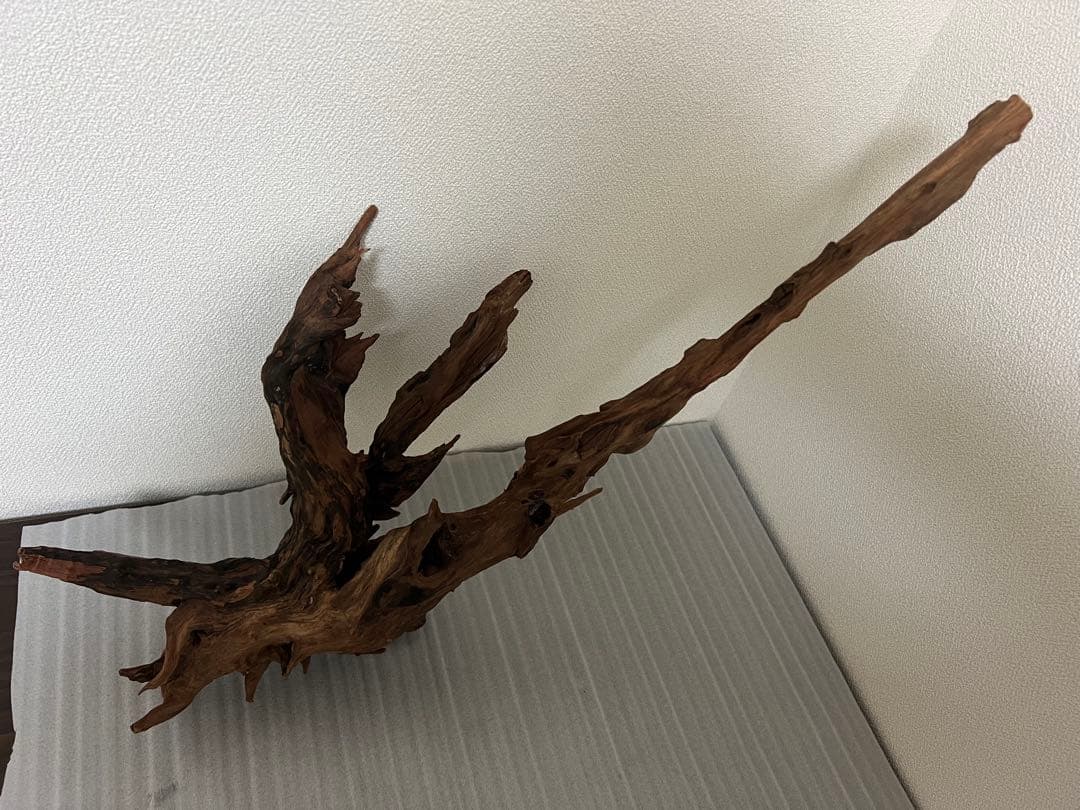 HX-080 流木　ホーンウッド　マシンガンウッド　アクアリウム　ブランチウッド