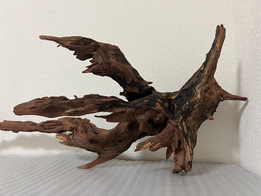 HX-080 流木　ホーンウッド　マシンガンウッド　アクアリウム　ブランチウッド