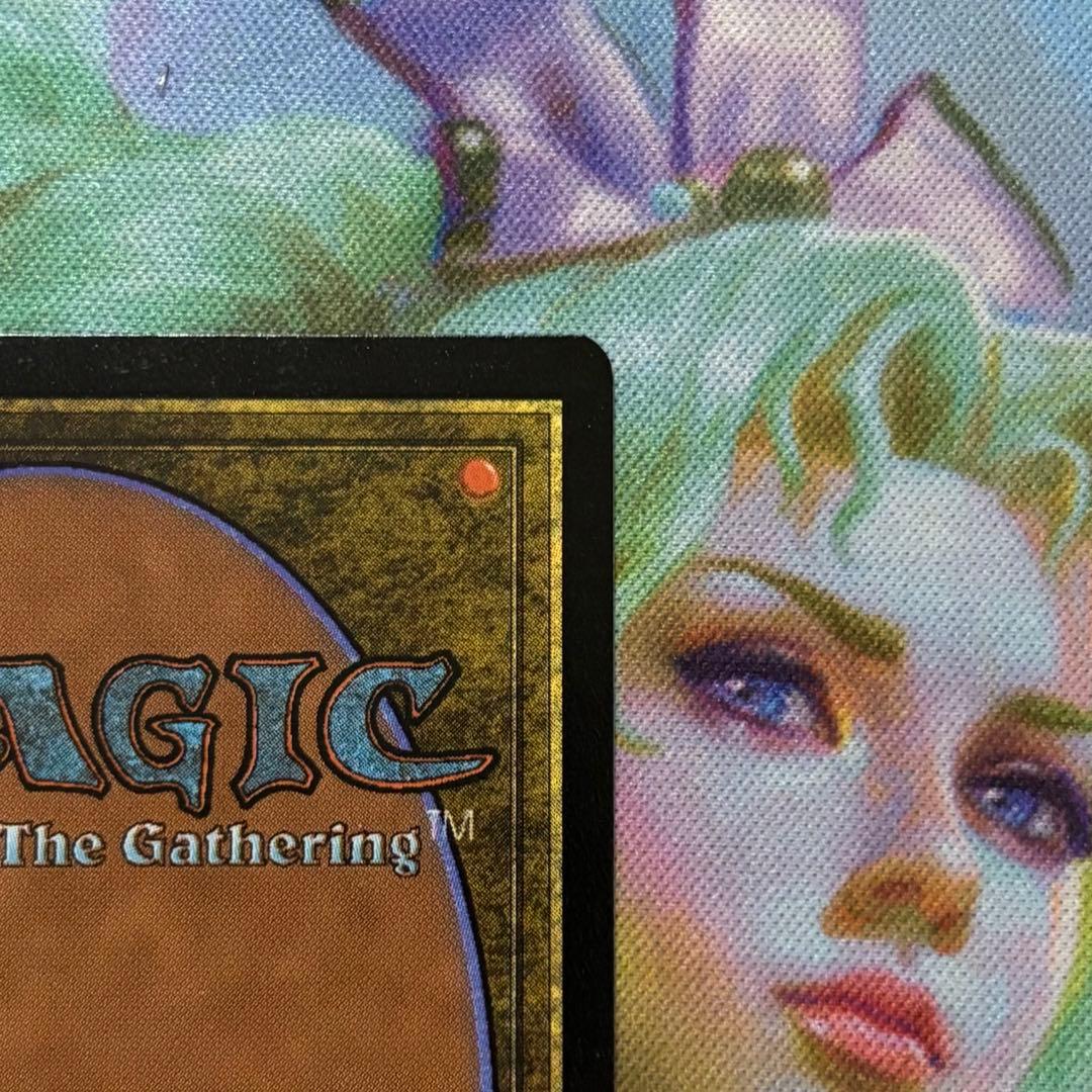 【新品】MTG FF アニマ Foil 日本語版 悲嘆