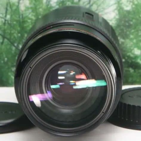 ☆コスパ抜群のLレンズ☆CANON EF 50-200mm F3.5-4.5L☆