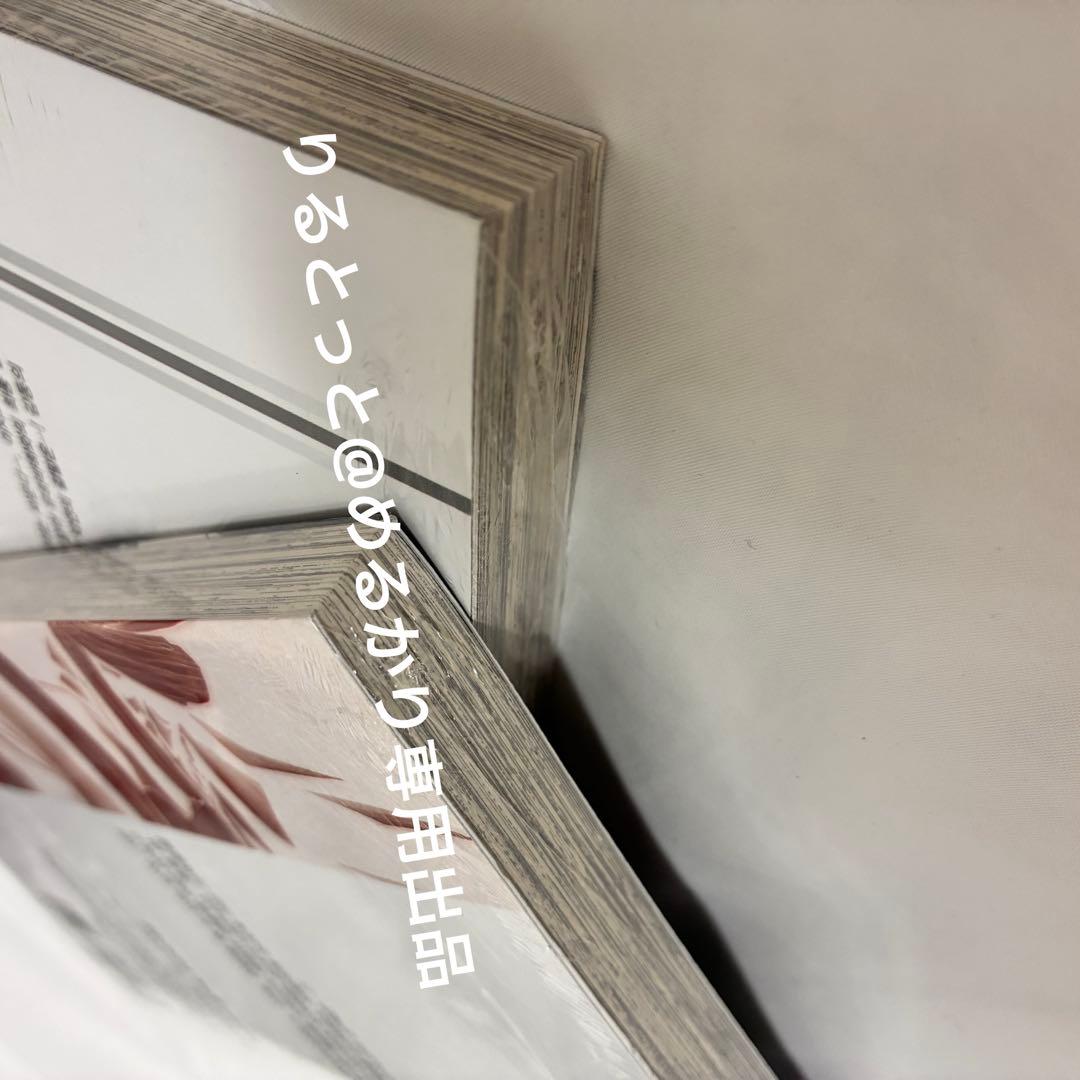 BLEACH 単行本　1巻&74巻　韓国版