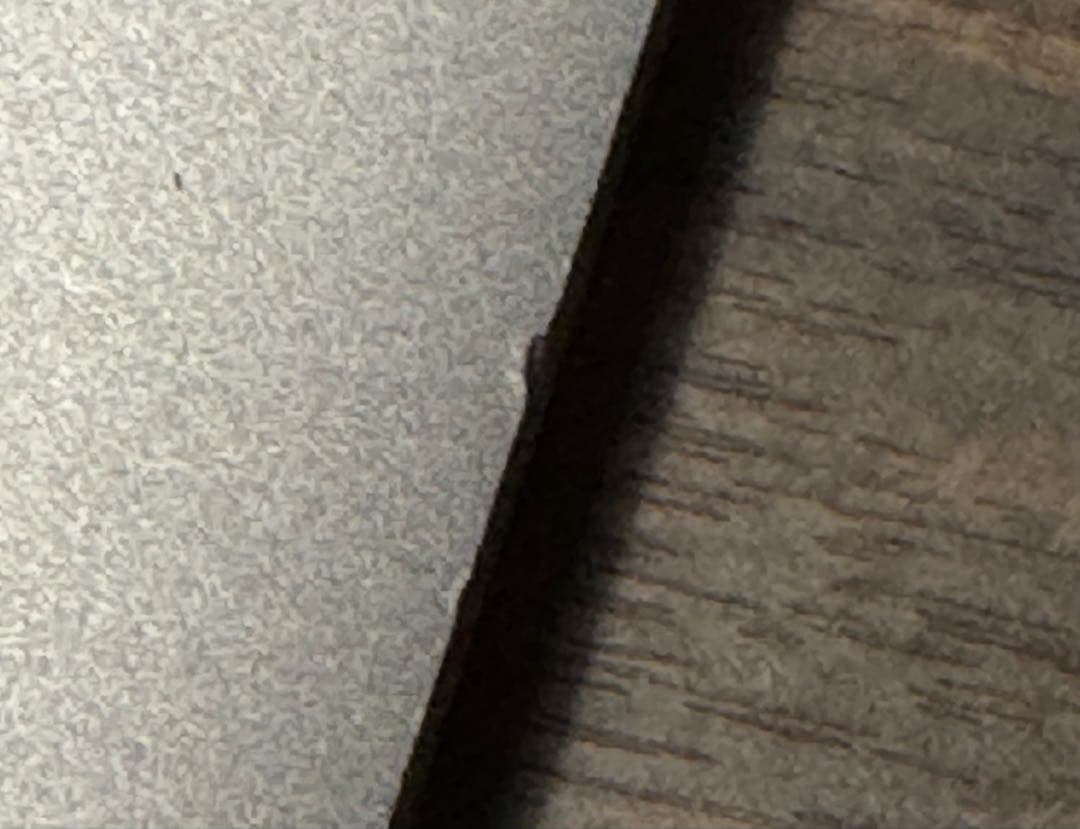 MacBook本体 MacBook Pro 13 16GB 512GB early2015