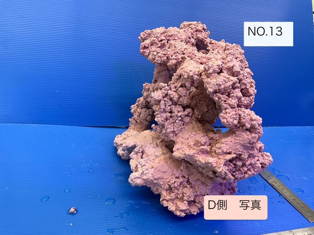 人工ライブロック　No.13 アク抜き済