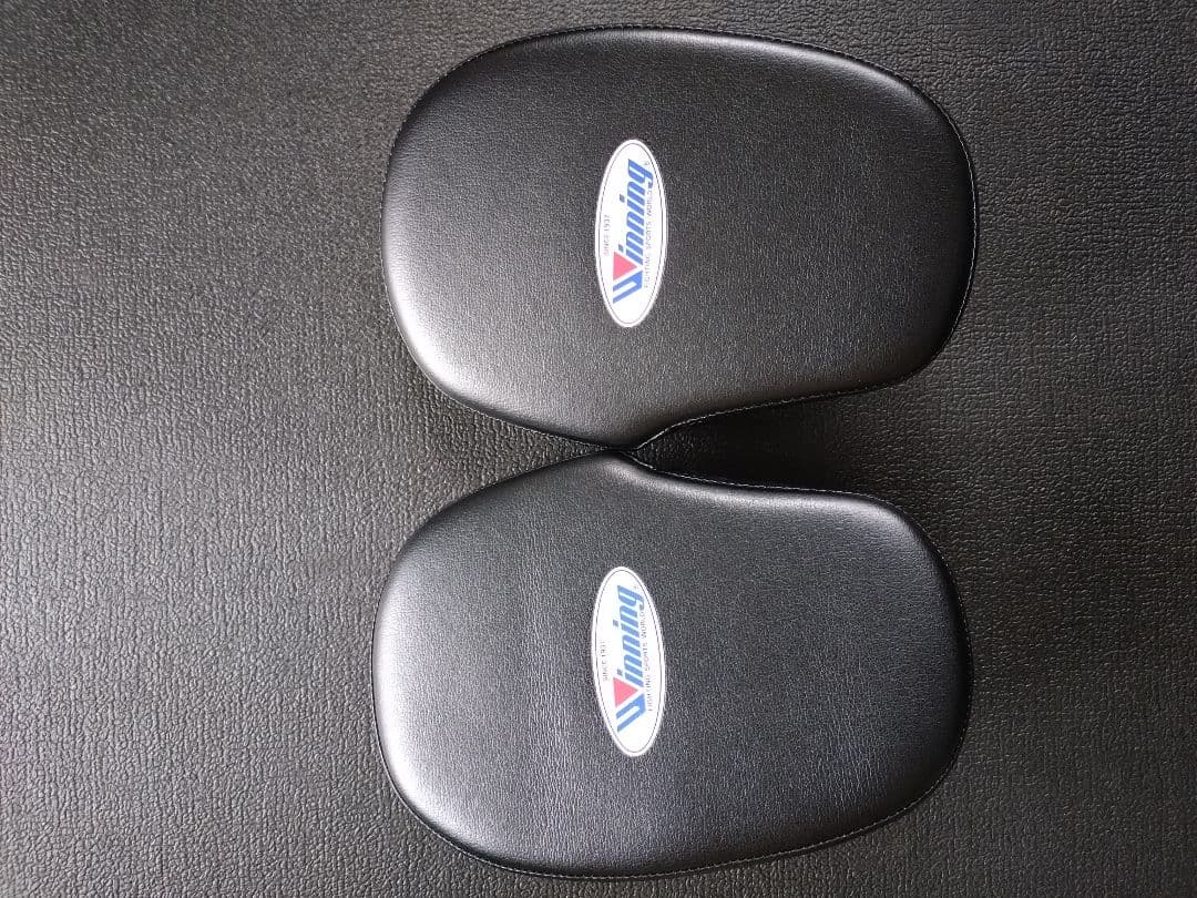 Winning パンチングミット 　CM-20