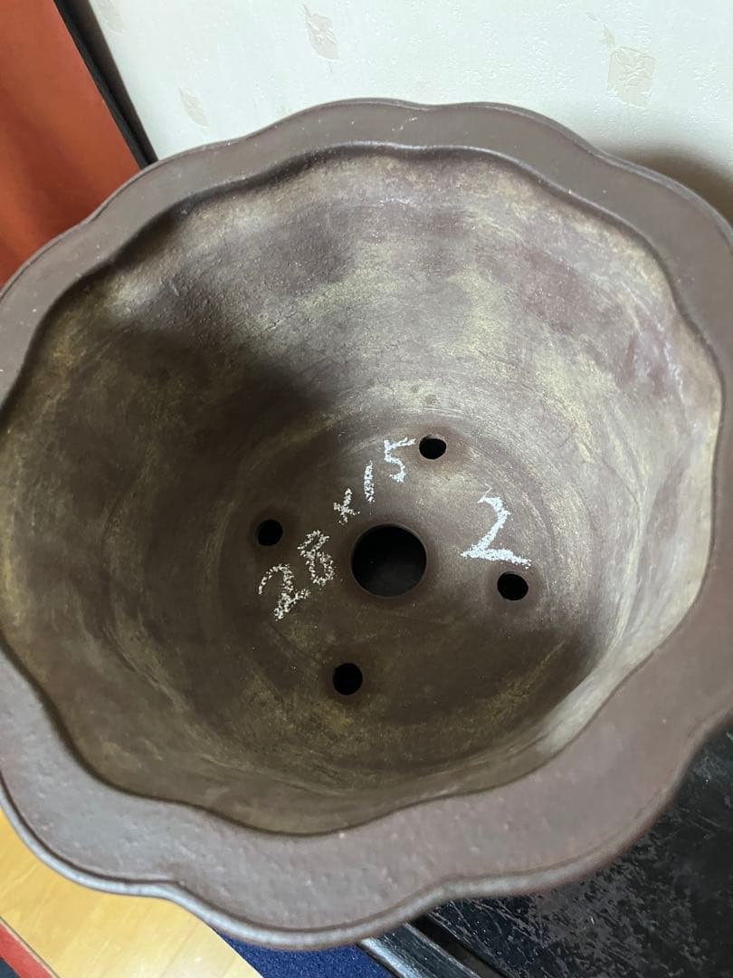 481 盆栽　盆栽鉢　植木鉢　和鉢　山秋